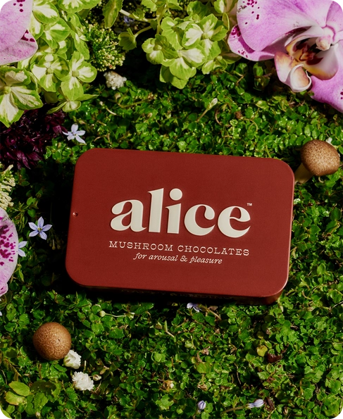 Happy Ending - Mushroom Chocolate For Arousal
